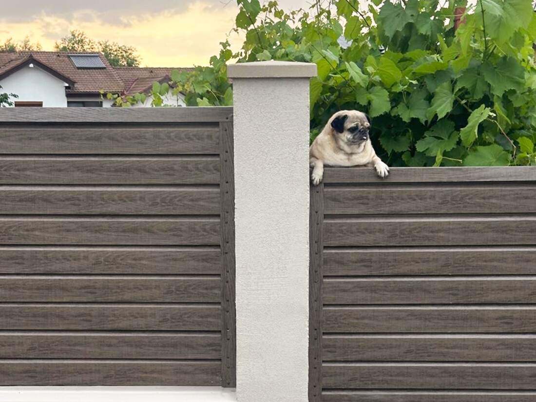 Romb Mini în culoarea Mesteacăn, fotografie reală de la un client