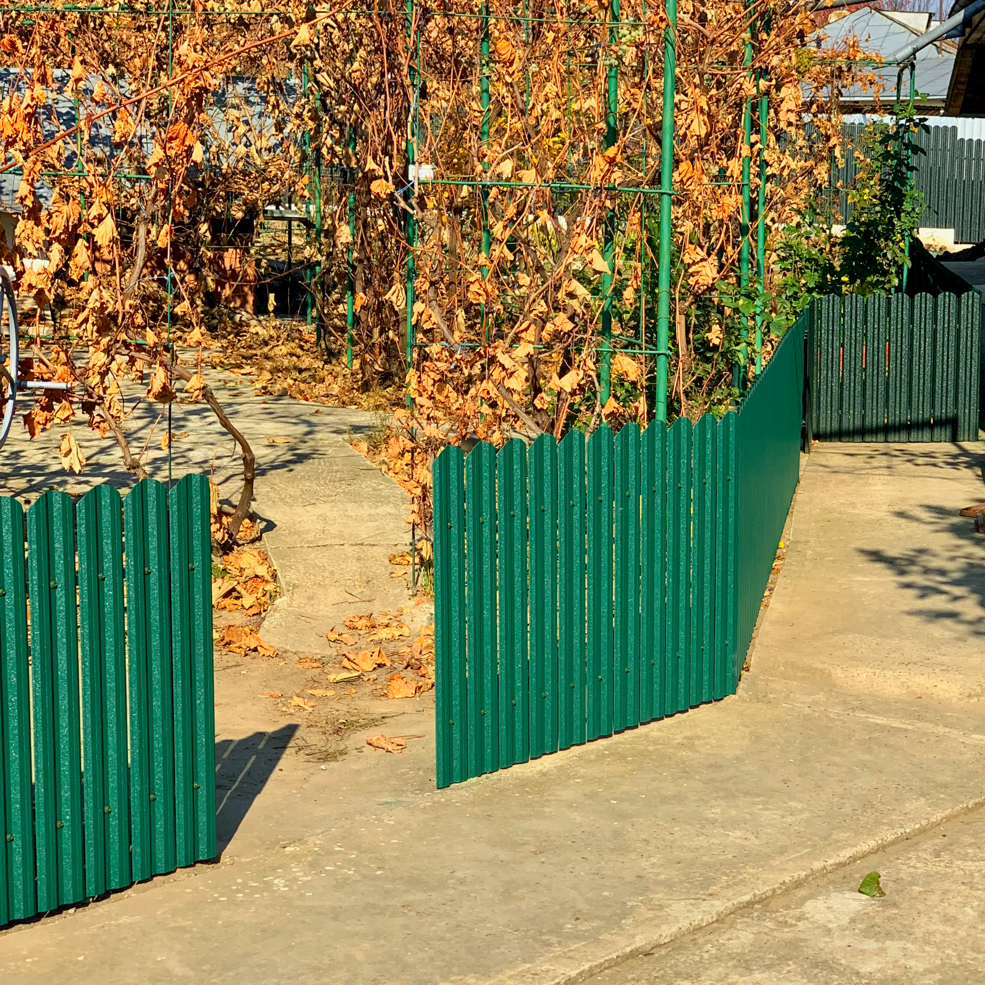 Verde Pin | RAL 6005