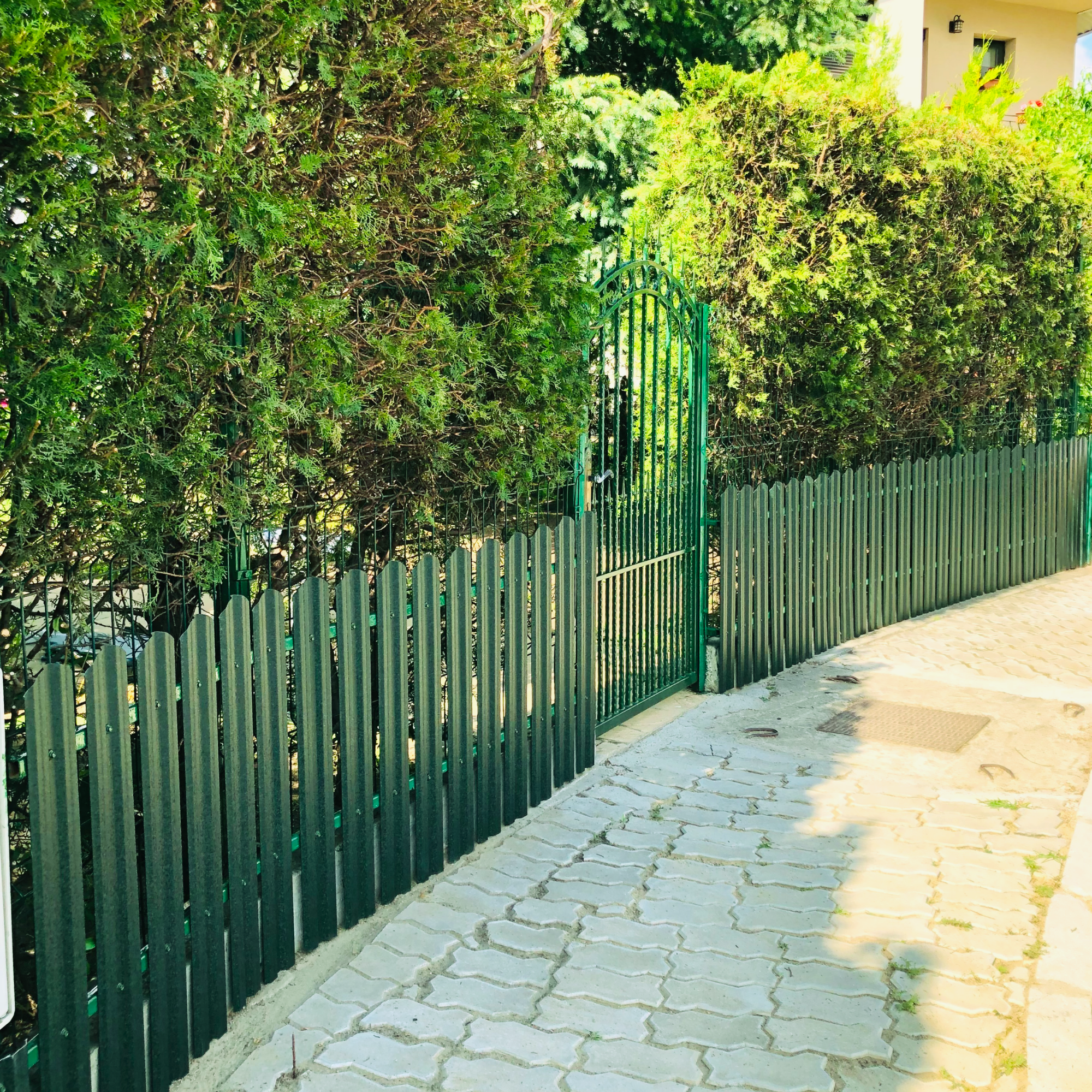 Verde Pin | RAL 6005