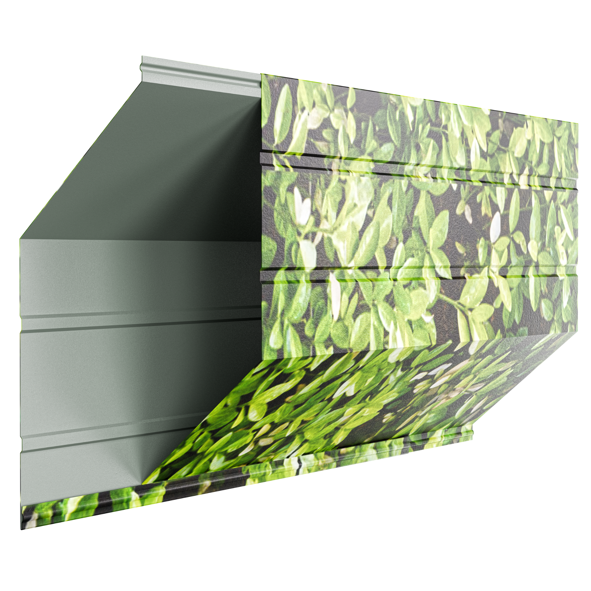 Romb Max | Merisor