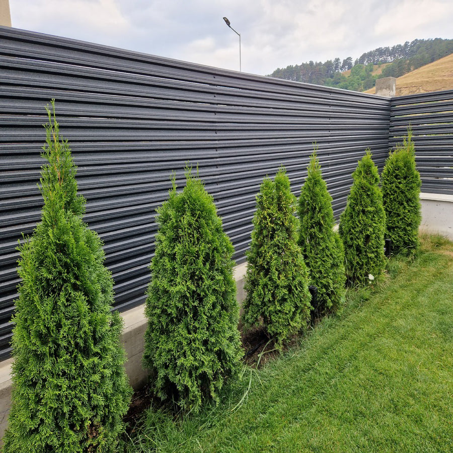 Gri Perlat | RAL 7024