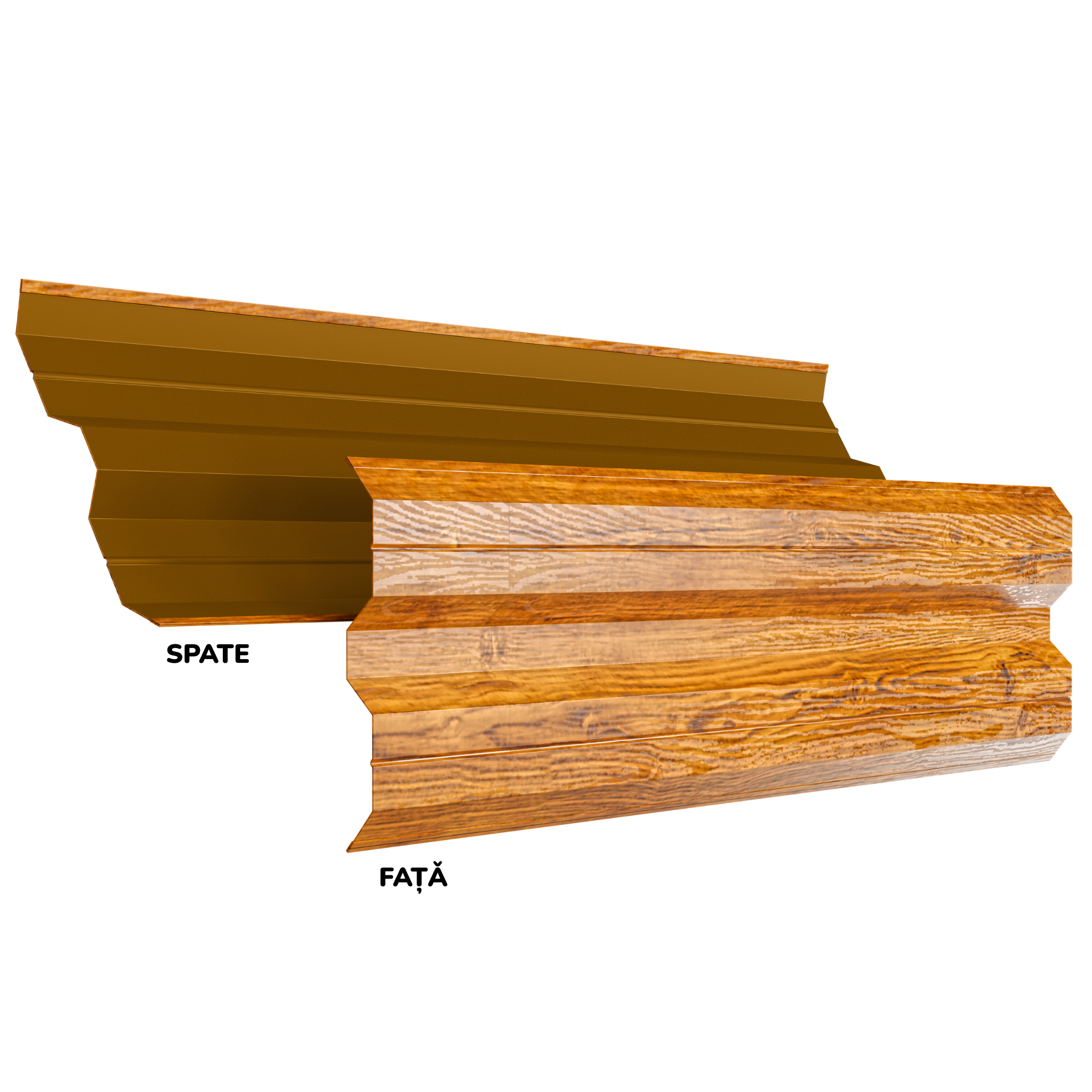 Stejar Striat