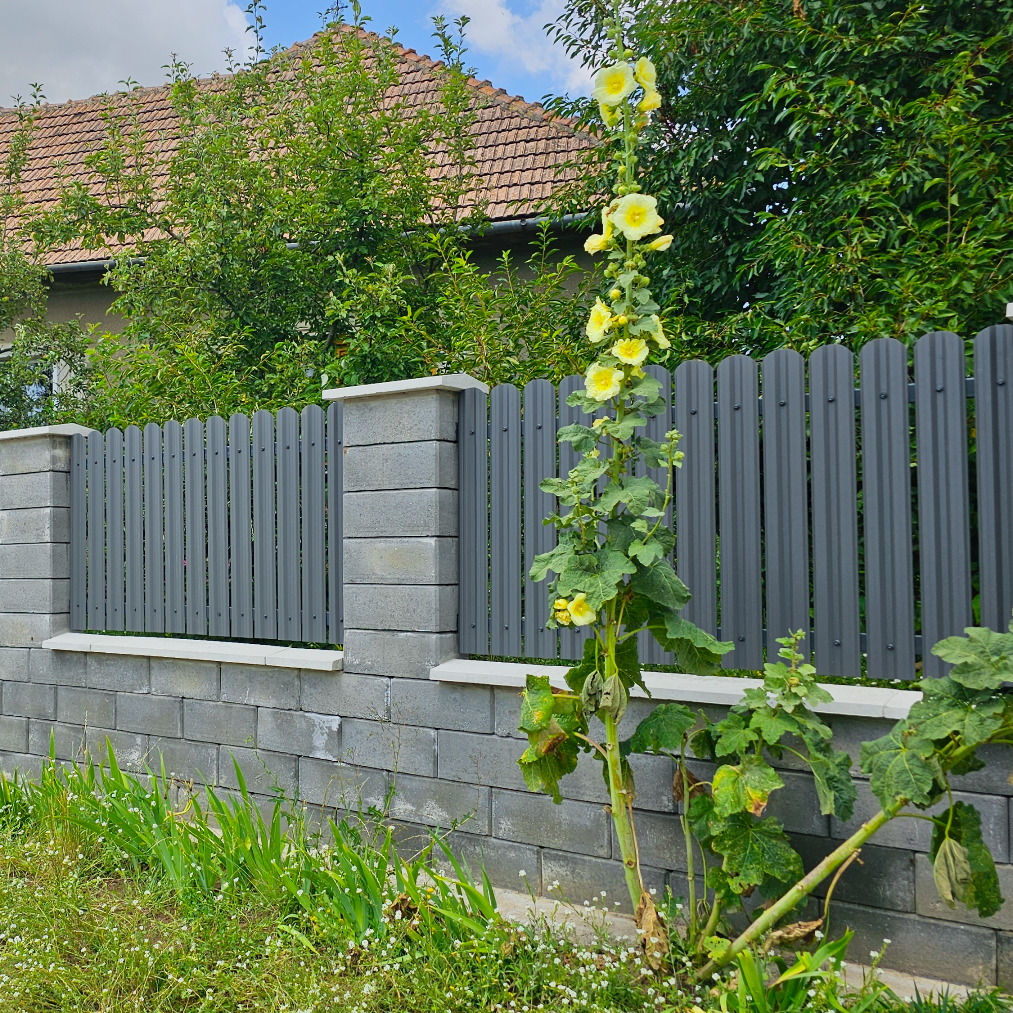 Gri Atlantic Dublu (RAL 7016)