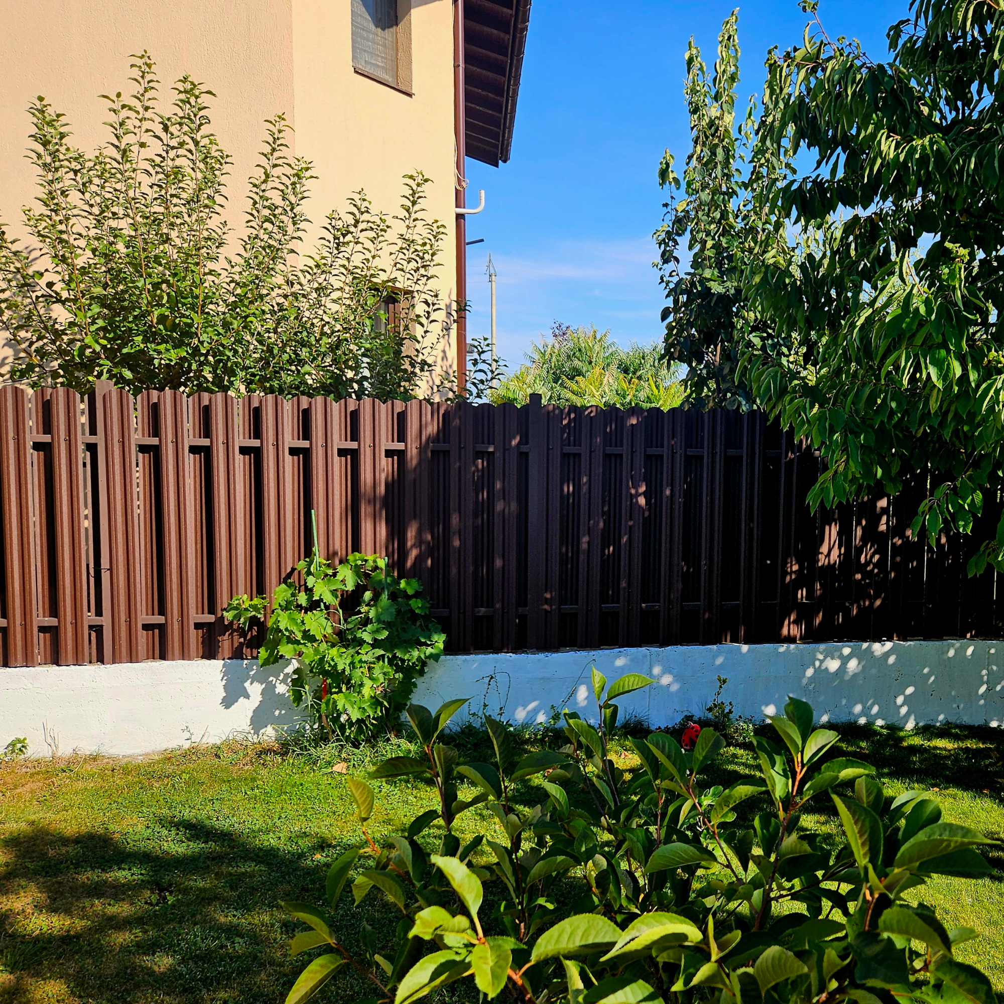 Maro Ciocolată Dublu | RAL 8017