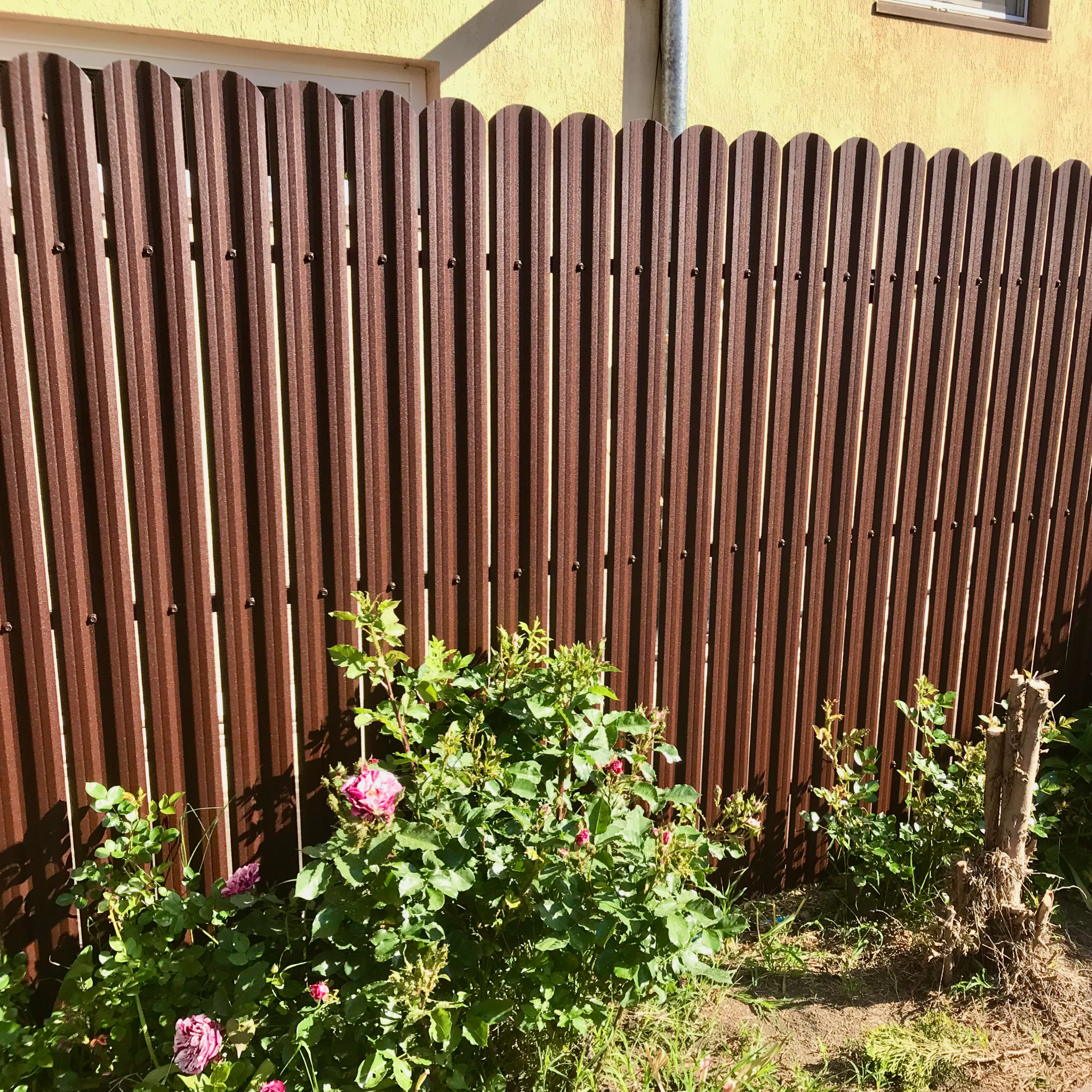 Maro Ciocolată Dublu | RAL 8017