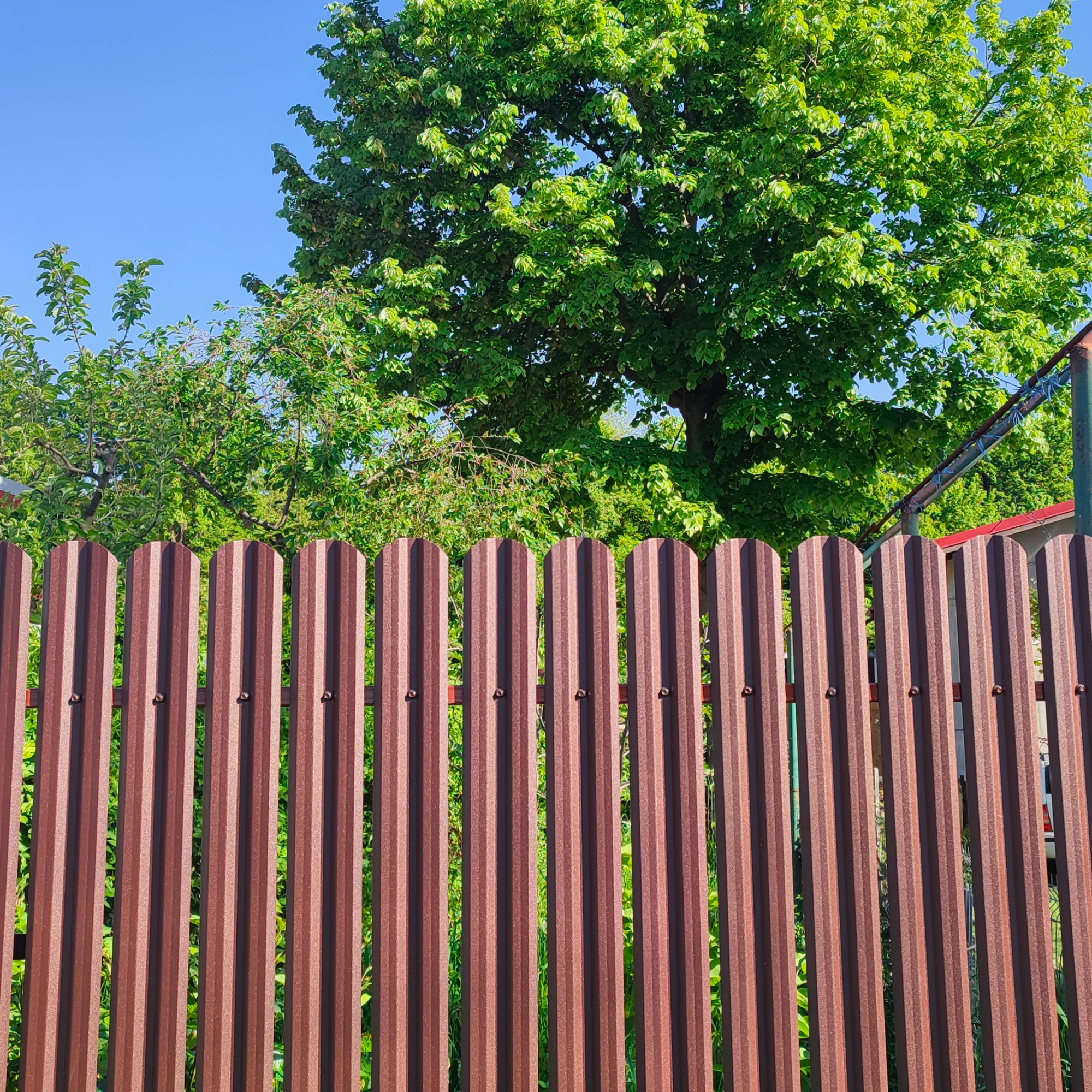 Maro Ciocolată Dublu | RAL 8017