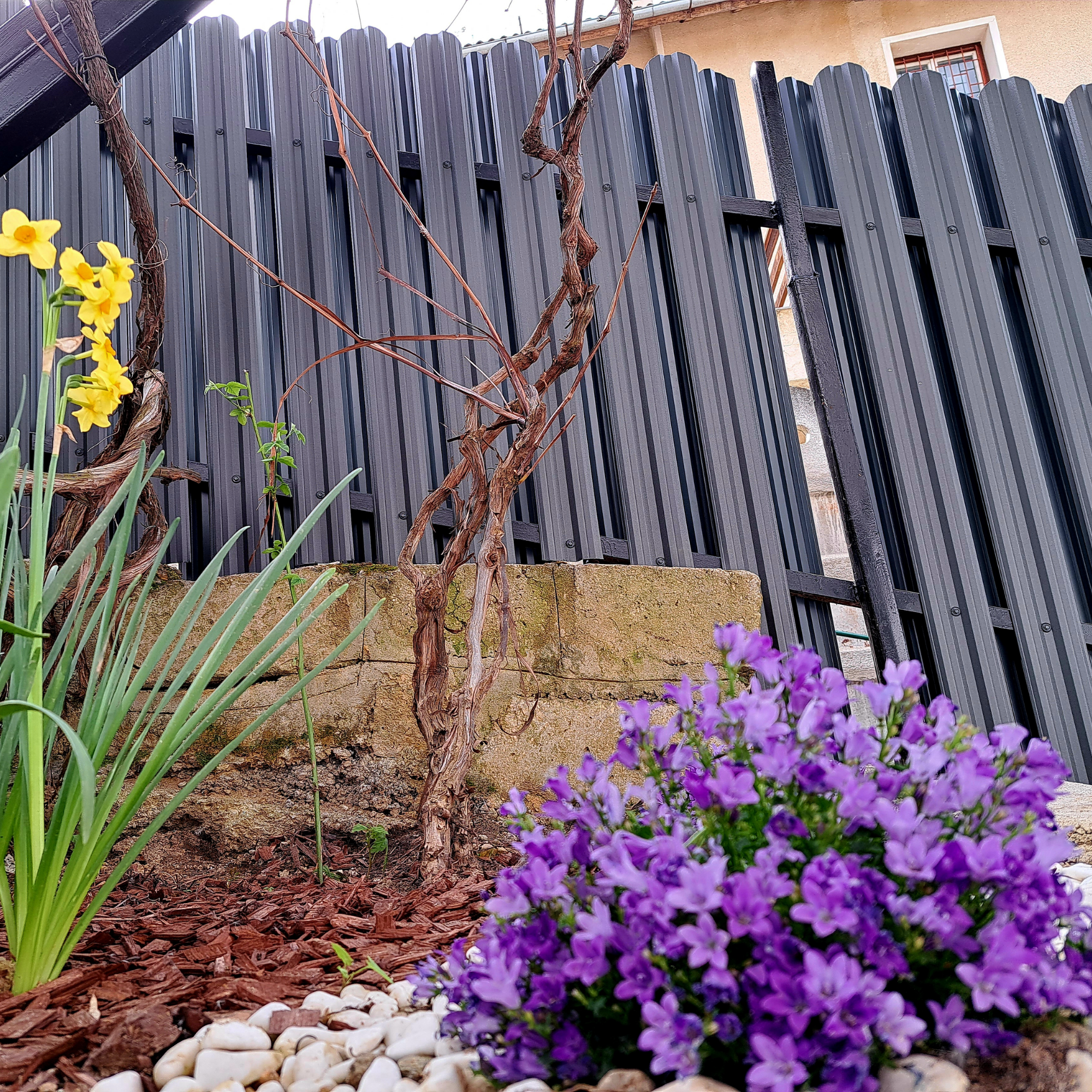 Maro Espresso | RAL 8019