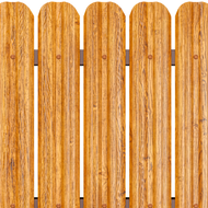 Stejar Striat
