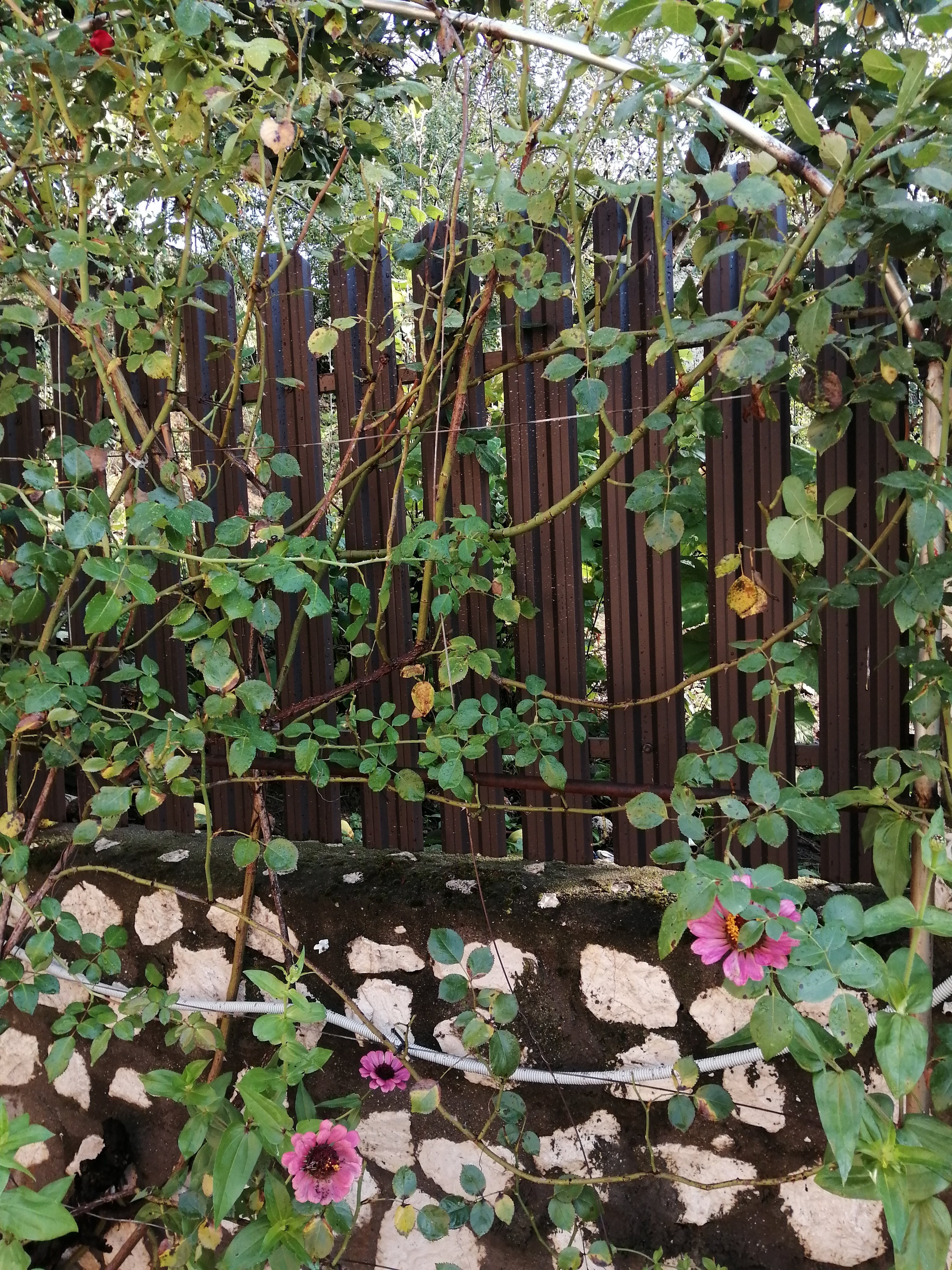 Prim-plan al modelului TISA Sipca Metalica cu finisaj de Mat Dublu în culoare Maro Espresso Dublu RAL 8019, disponibil pe www.sipca.ro, fabricat de Top Profil Sistem.