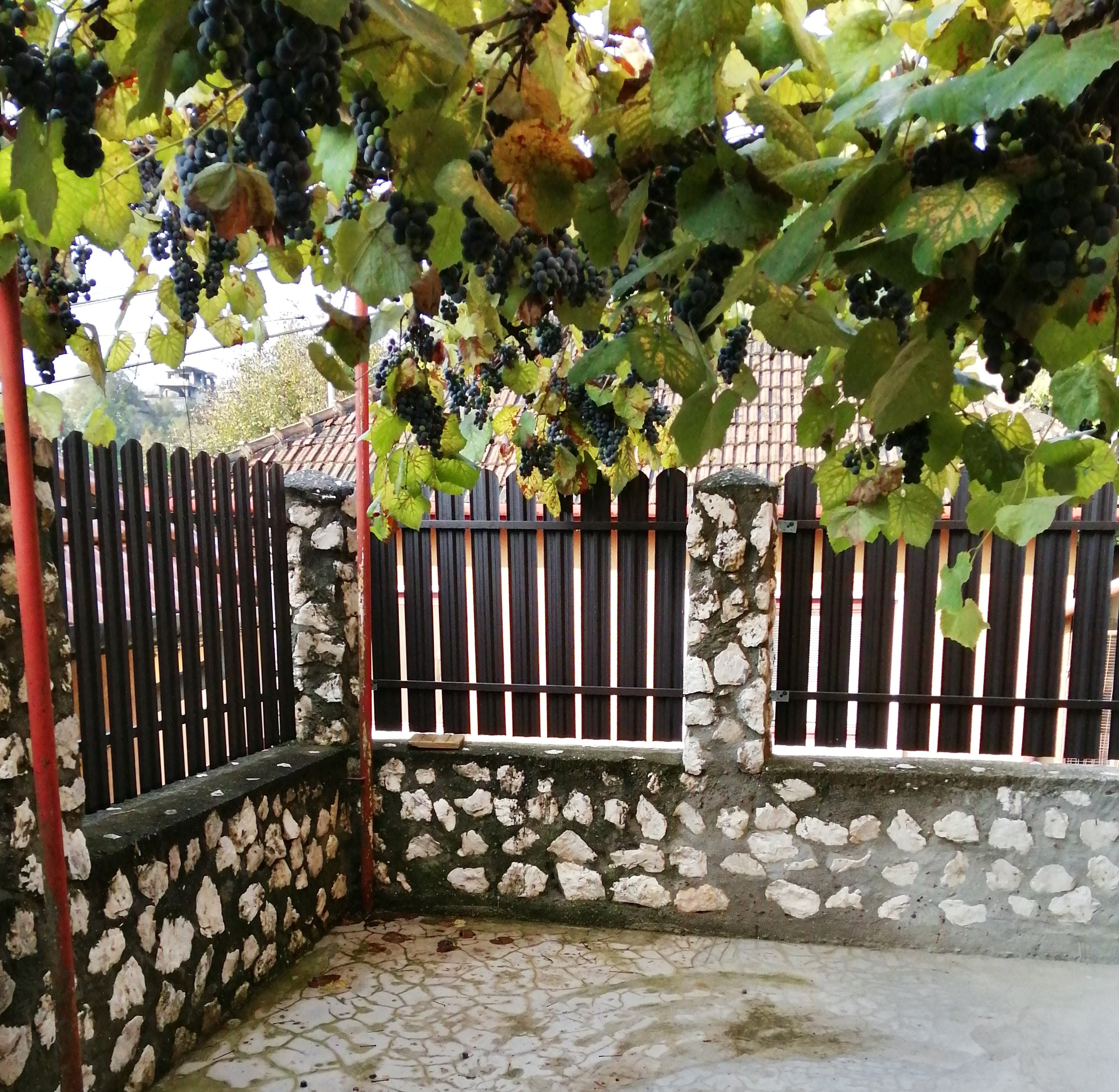 Prim-plan al modelului TISA Sipca Metalica cu finisaj de Mat Dublu în culoare Maro Espresso Dublu RAL 8019, disponibil pe www.sipca.ro, fabricat de Top Profil Sistem.