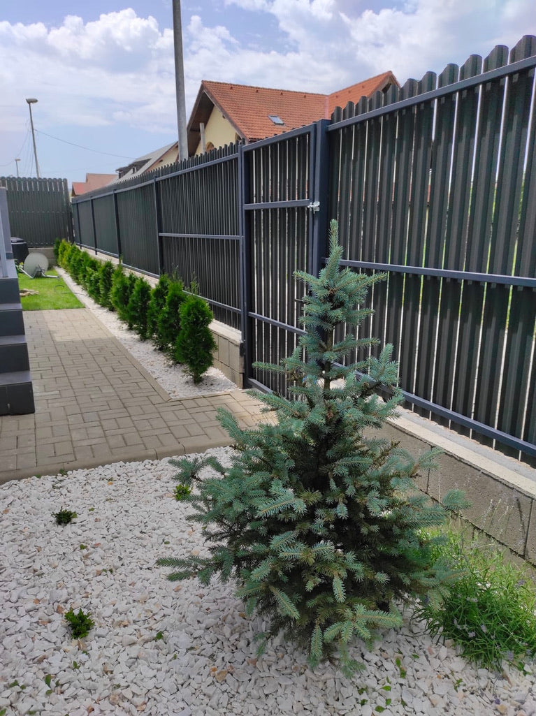 Prim-plan al modelului TISA Sipca Metalica cu finisaj de Mat Dublu în culoare Gri Grafit Dublu, disponibil pe www.sipca.ro, fabricat de Top Profil Sistem.