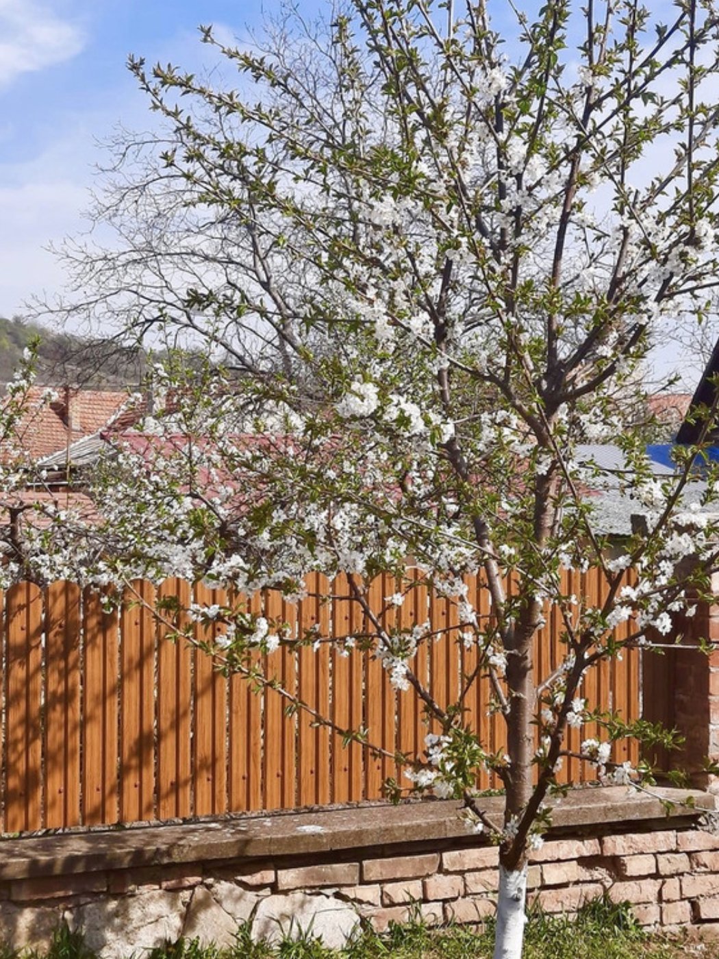 Prim-plan al modelului TISA Sipca Metalica cu finisaj de Imitație Lemn în culoare Nuc Striat, disponibil pe www.sipca.ro, fabricat de Top Profil Sistem.